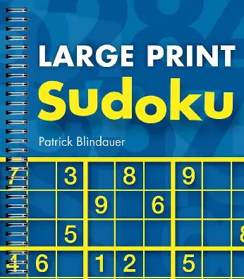 large-print-sudoku-review